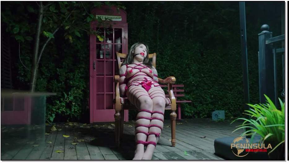 BDSY1907-半岛束艺 跟波雅打赌是错误的