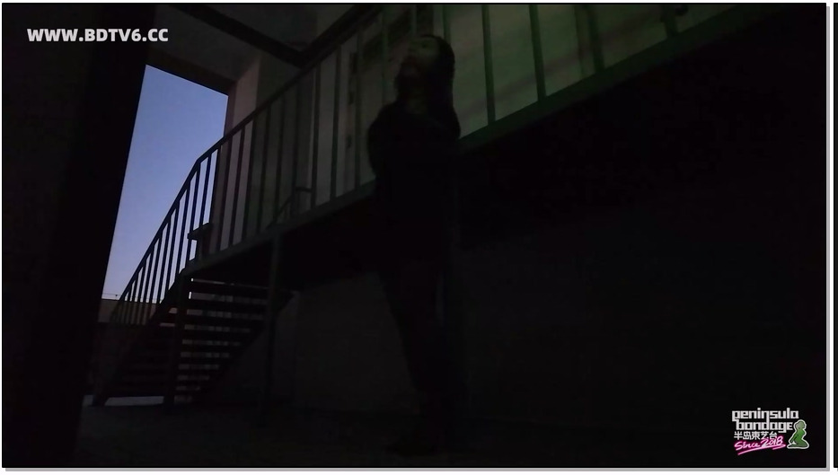 BDSY1976-半岛束艺 奎因 求捡走