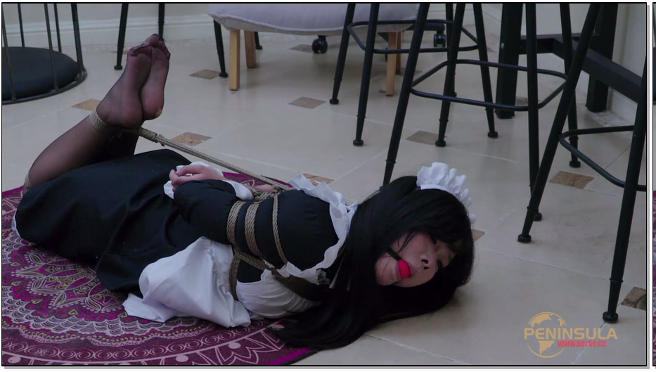 BDSY1980-半岛束艺 女仆的噩梦 上篇