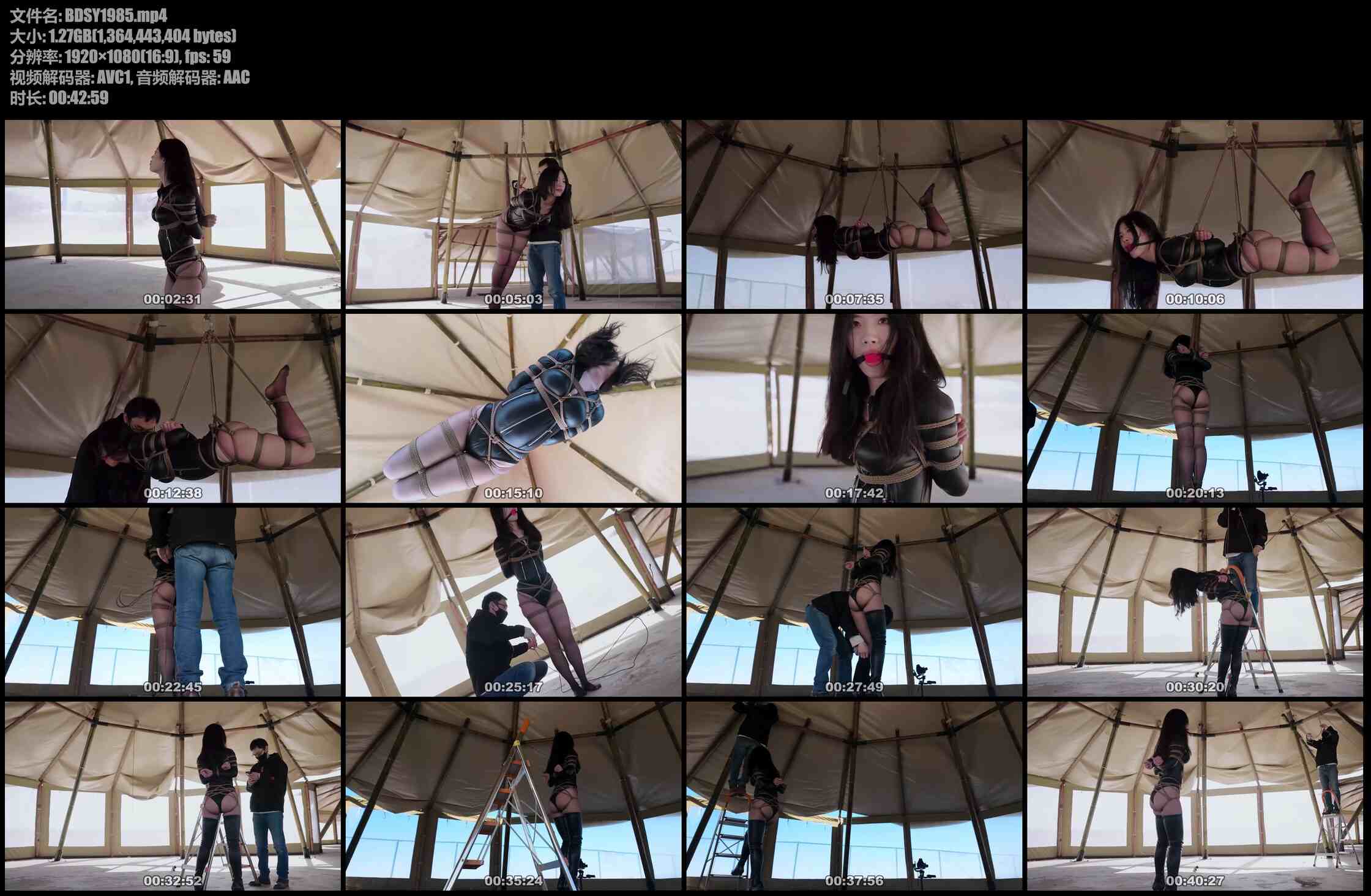 半岛束艺 海语 只是为了捡回遗失的装备