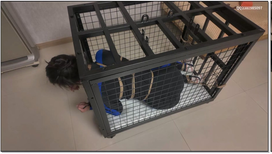 DSXS004-道士下山 自傅 狗笼放置 囚禁