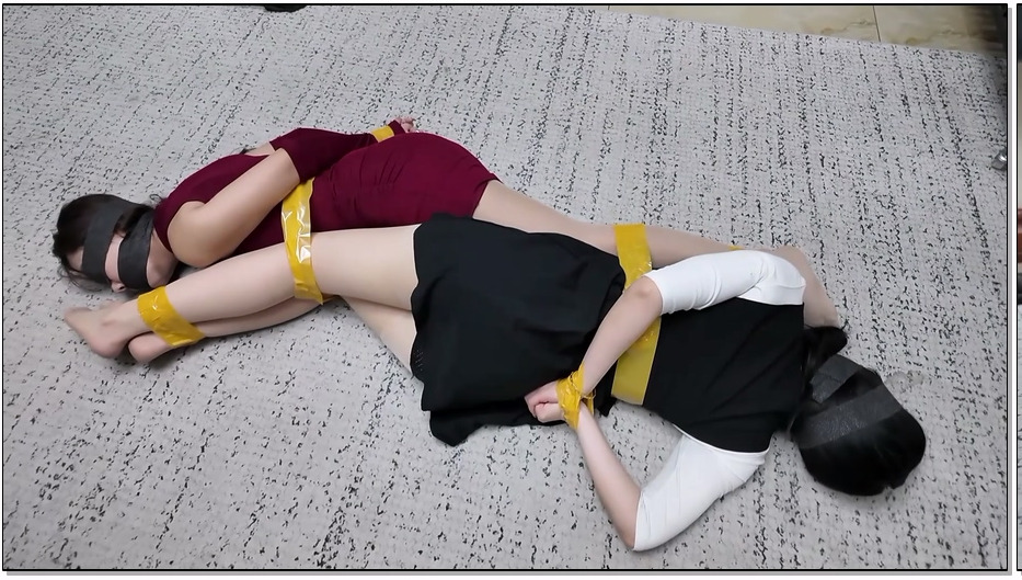 FYGZS118-枫叶工作室 米粒の奇妙家访 下 肉丝版