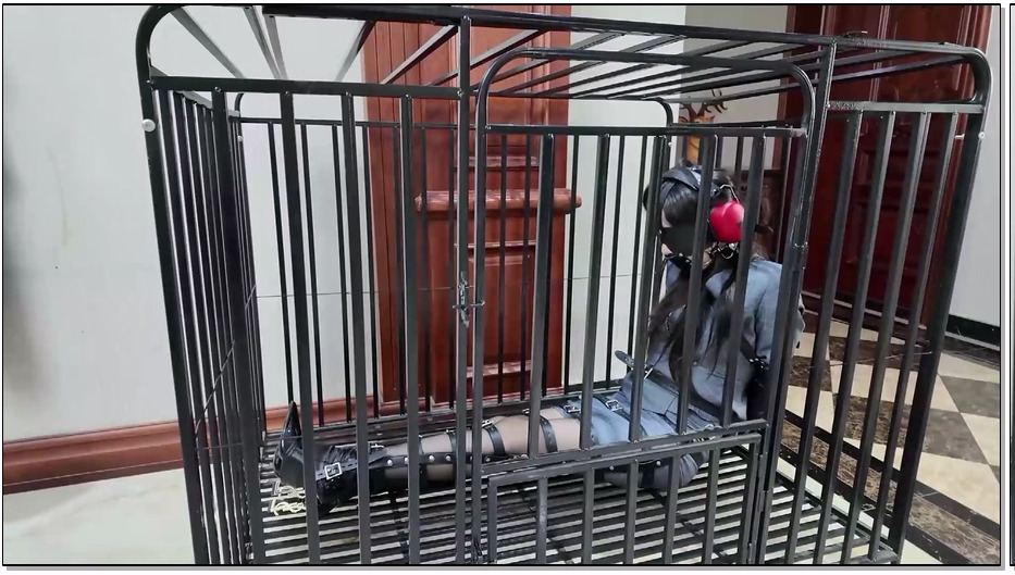 FYGZS122-枫叶工作室 惊魂影视公司之女经纪人惨遭毒手 上