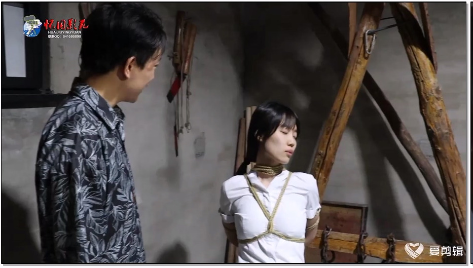 HJYY375-怀旧影苑 独闯龙潭（第一集）