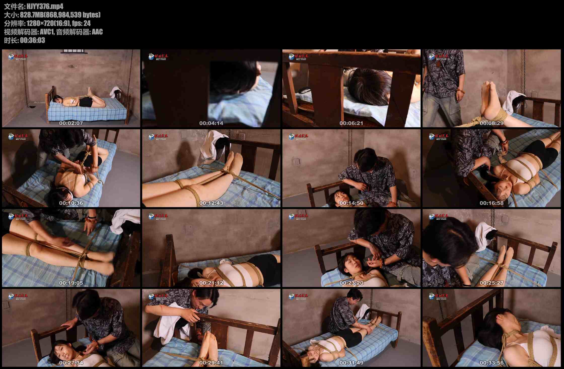 怀旧影苑 独闯龙潭（第二集）