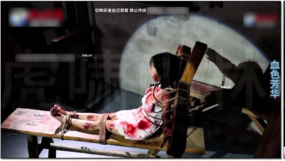 HJYY377-怀旧影视 血色芳华