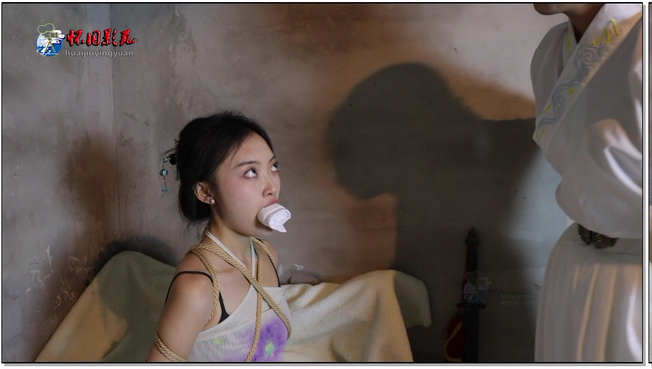 HJYY379-怀旧影视 锦衣风云 第二集