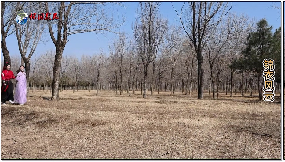 HJYY380-怀旧影视 锦衣风云 第三集