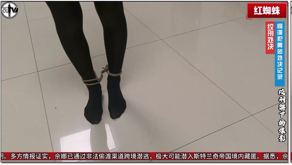 JZWH072-精致原创 红蜘蛛 第一集——绞刑架下的谍影