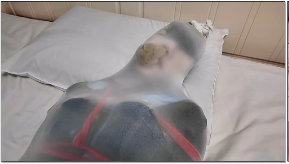 LDX148-李大侠 女井捕获之美丽女井被连续诱拐和囚禁