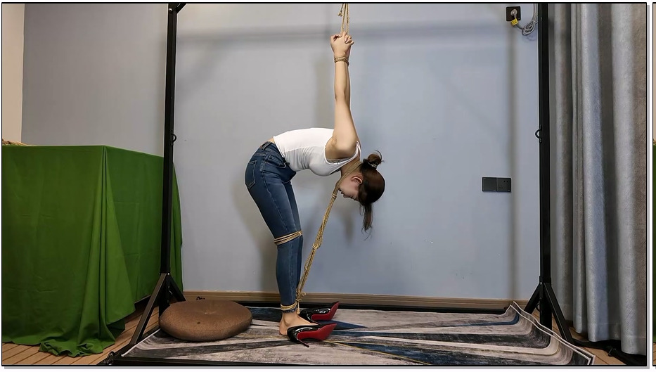 LDX201-李大侠 晓琴后手吊