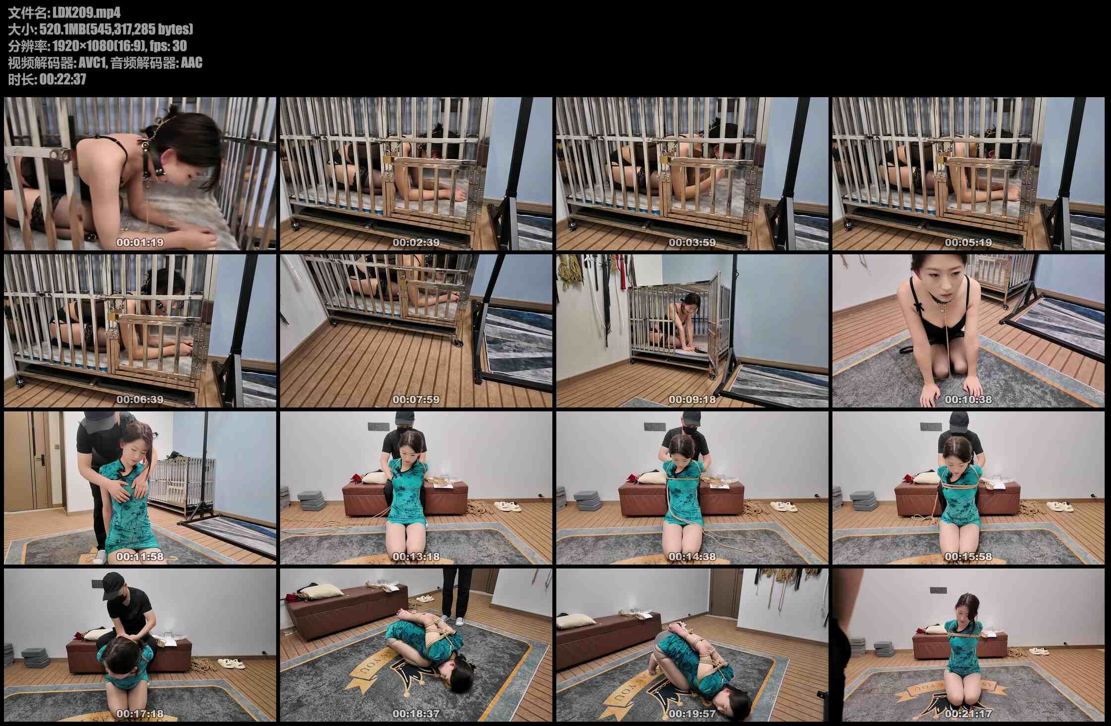 李大侠 晓琴笼子放置收集口水