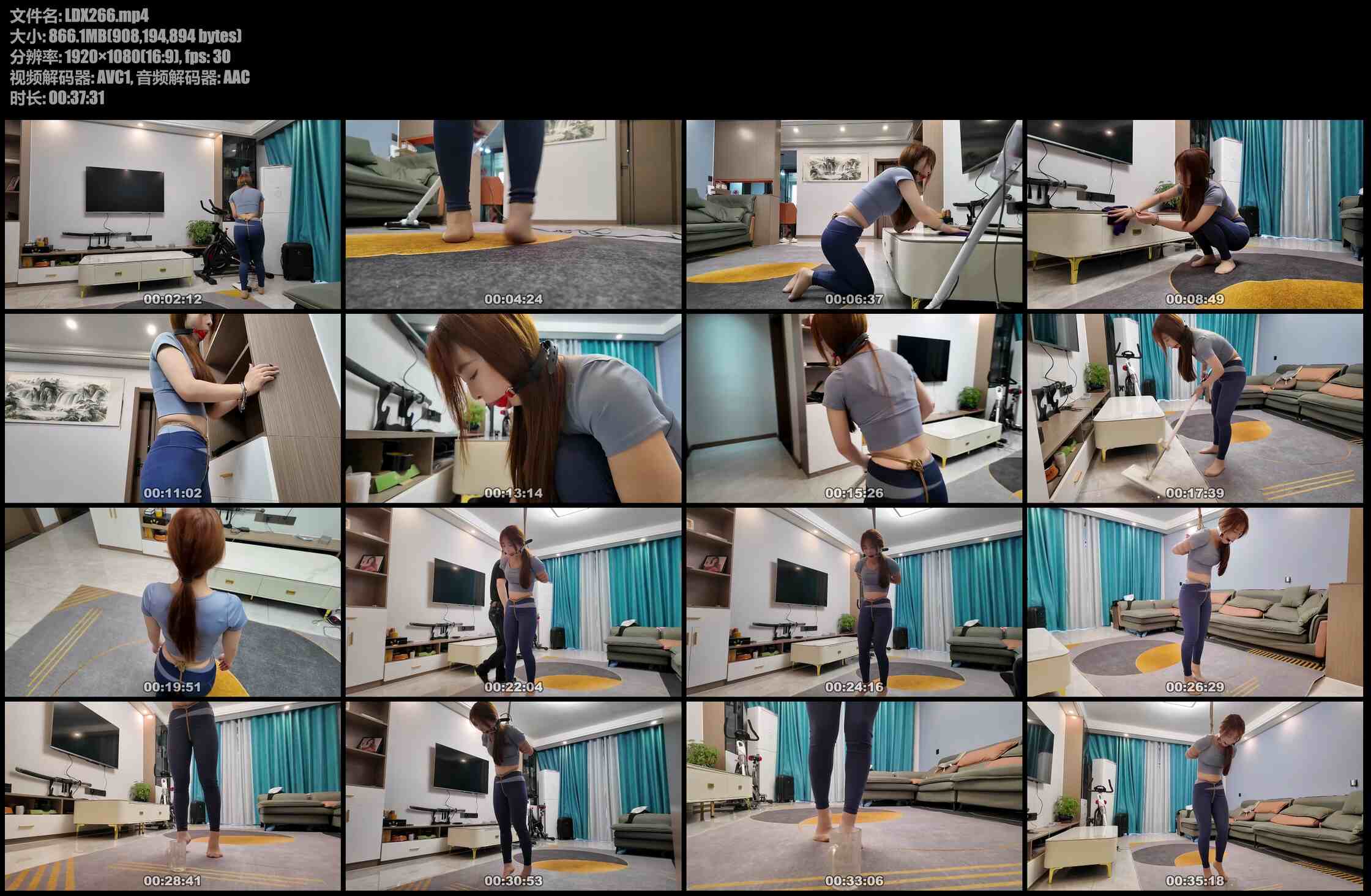 李大侠 娜娜 富豪家的特殊保洁