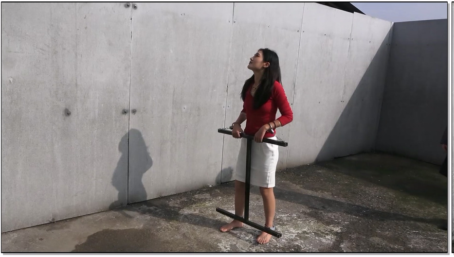 LHY217-梨花雨 空姐的不归路