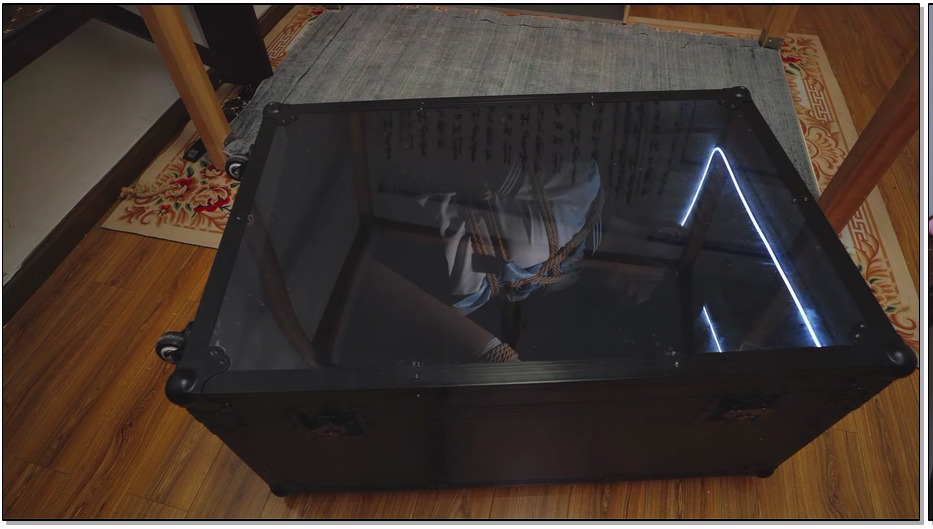 LSYBN112-冷少与贝娘 新款单向行李箱，箱内拘束，一种新型的箱子，箱外看不到箱内