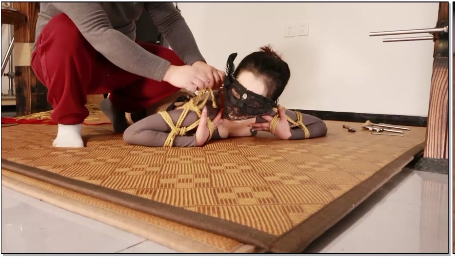 LYYC158-路由原创 文慧电击三部曲第三部 电动小母gou