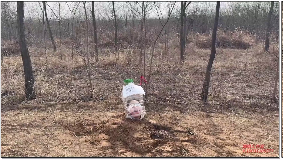 MNGZS184-媚娘工作室 活埋-荒野公厕