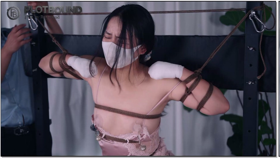 RAYM123-Raymond 宠物托管员3主动要求再次训练的小姐姐(剧情犬缚玩虐多轮训练惩罚啵啵贝