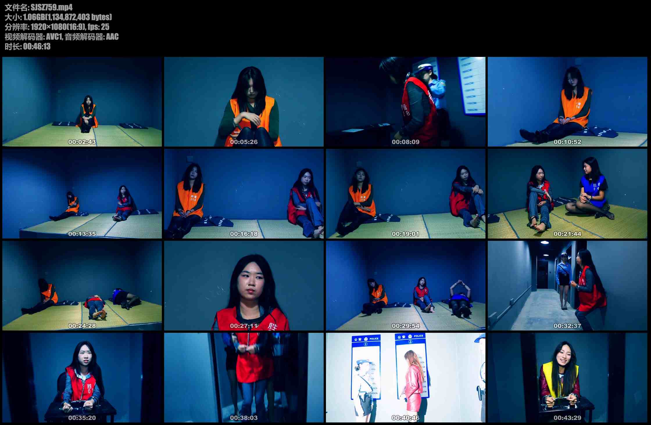 胜景影视 毒网挽歌之毒枭末路 上集 女毒枭苏琴拒不交代卖淫女做卧底套口供将毒枭