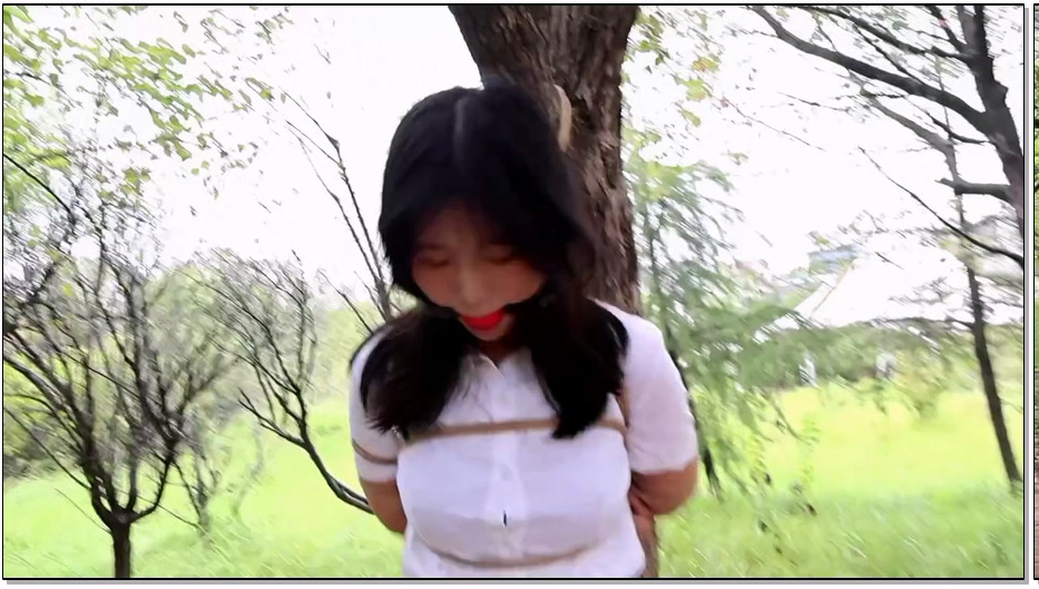 SJSZ764-胜景影视 毒玫瑰落网 上集 毒玫瑰被押解回监狱路上汽车遭人破坏被迫走小路前行等待