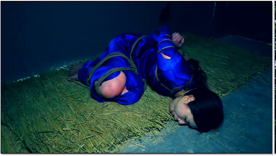 SJSZ775-胜景影视 炼狱英魂 下集 女联络员被女特务上电刑吊刑跪刑最后英勇就义