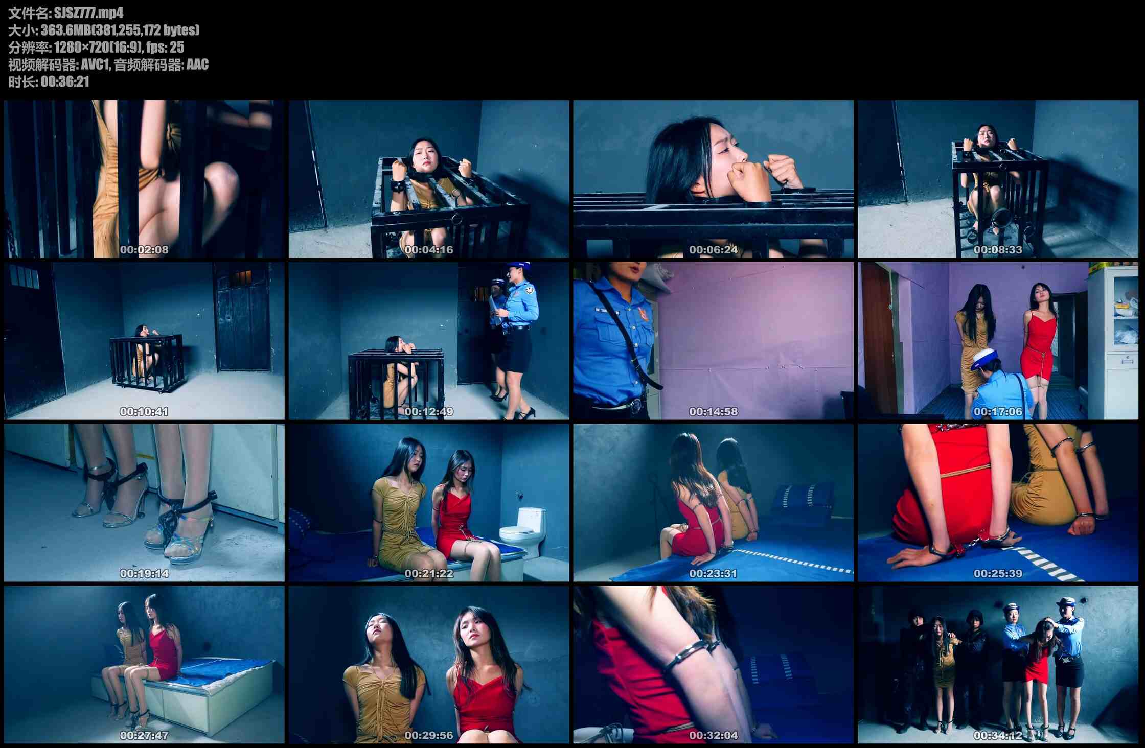 胜景影视 秘密押送 第二集 两女毒贩在笼子里受折磨认罪伏法戴臂铐监管被判死刑