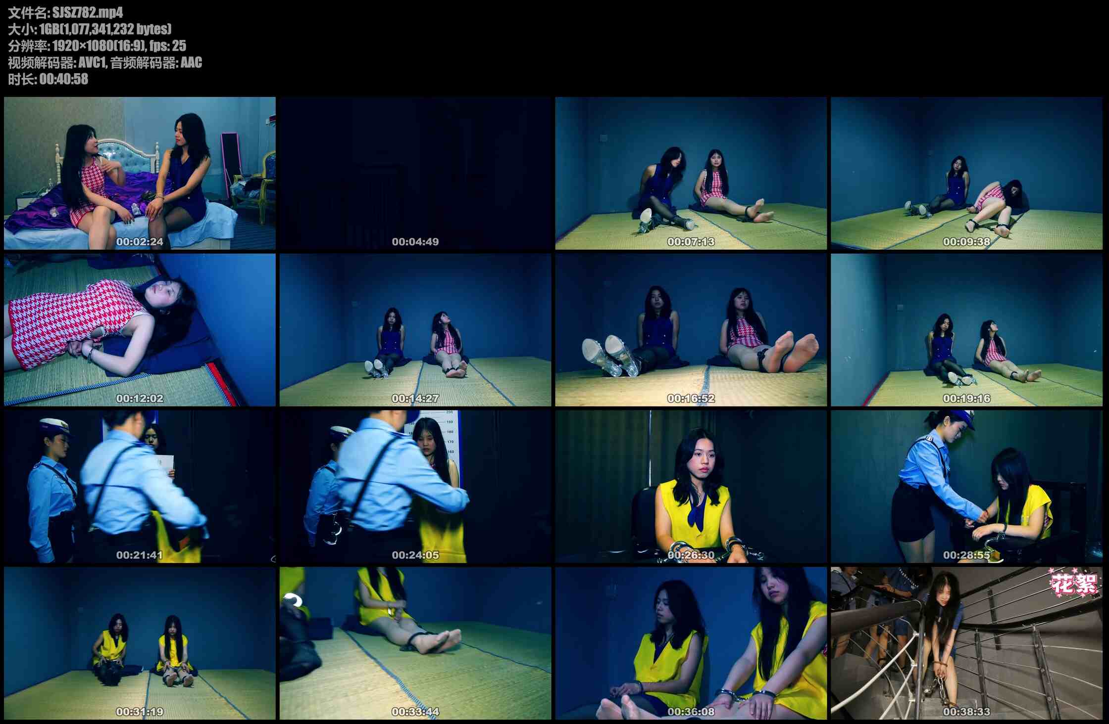 胜景影视 凋零的花季 二 上集 年轻貌美的女大学生为了金钱冒险从境外运输毒品