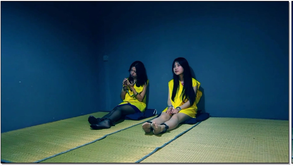 SJSZ782-胜景影视 凋零的花季 二 上集 年轻貌美的女大学生为了金钱冒险从境外运输毒品