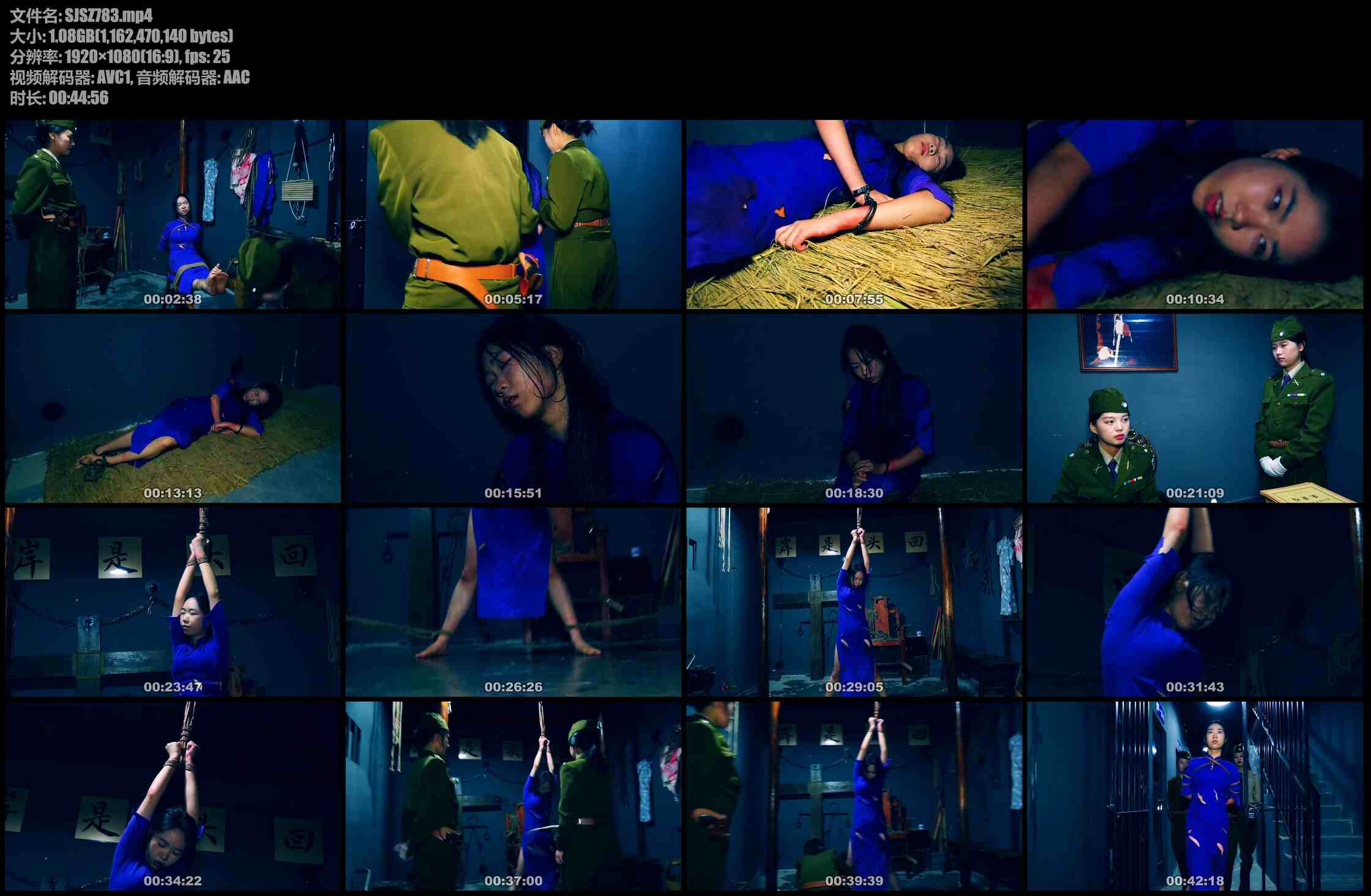 胜景影视 春雷行动 下集 刘涛被女特务吊缚鞭打坐老虎凳灌辣椒水野外刑场就义