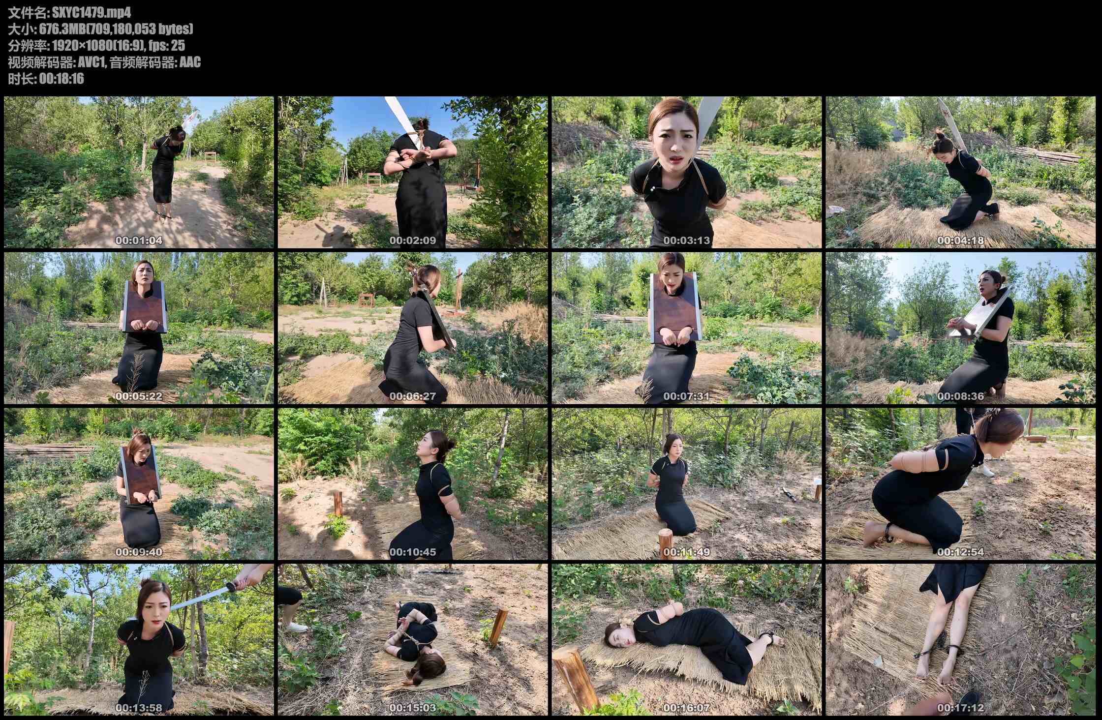 随心原创 佳佳 被斩首的旗袍女犯