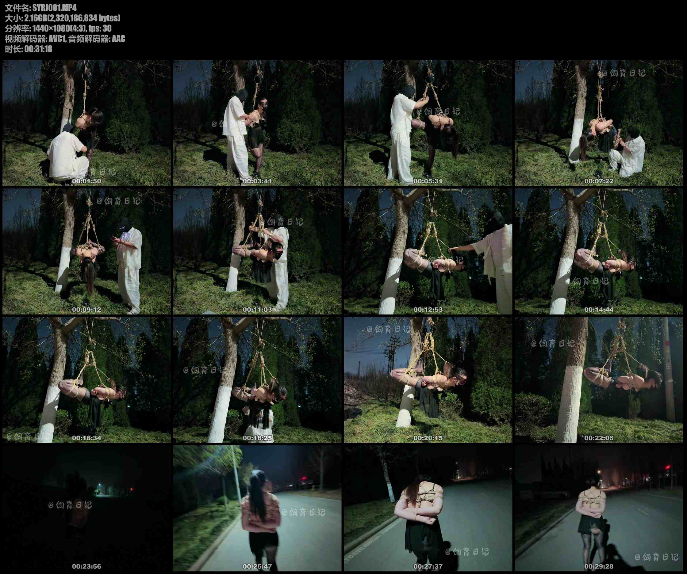 饲育日记 小狗の饲育日记 浅尝露出，月黑风高的夜，挂在树上的狗