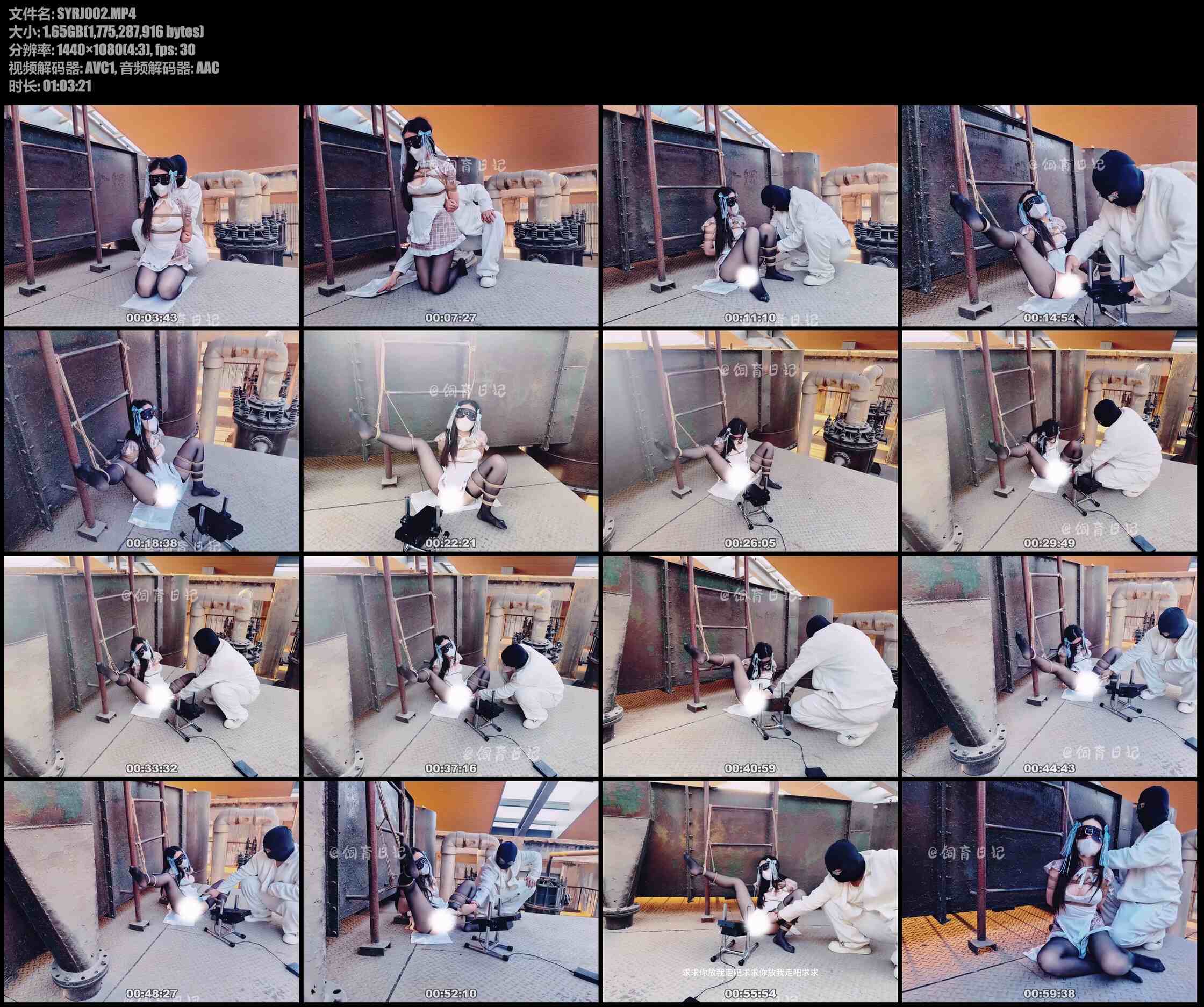 饲育日记 小狗の 工业遗迹，机器的轰鸣已成过眼云烟，如今只剩小狗在歌唱