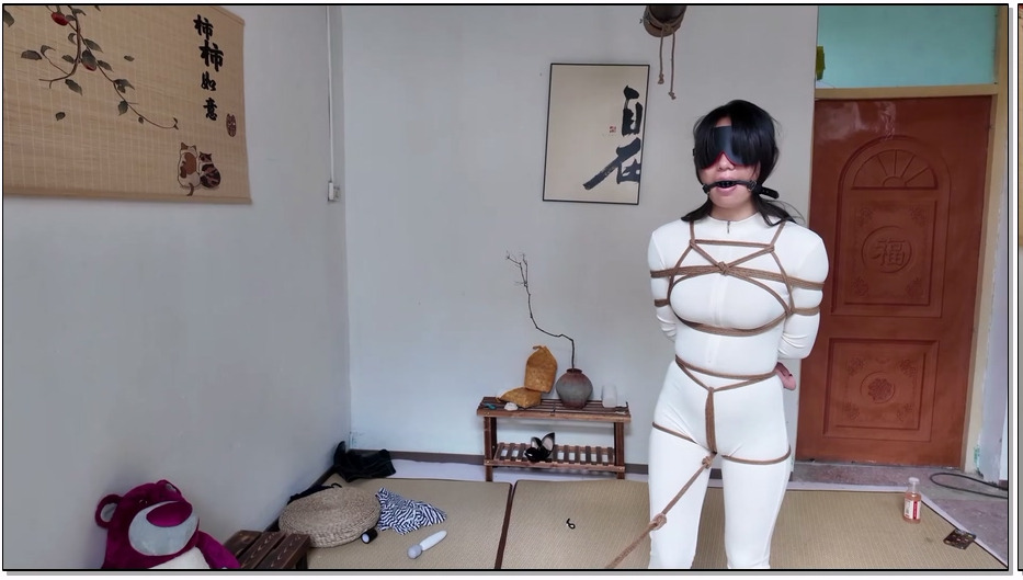 SYSA1213-AuntGzs 连体瑜伽服 口球眼罩 走绳