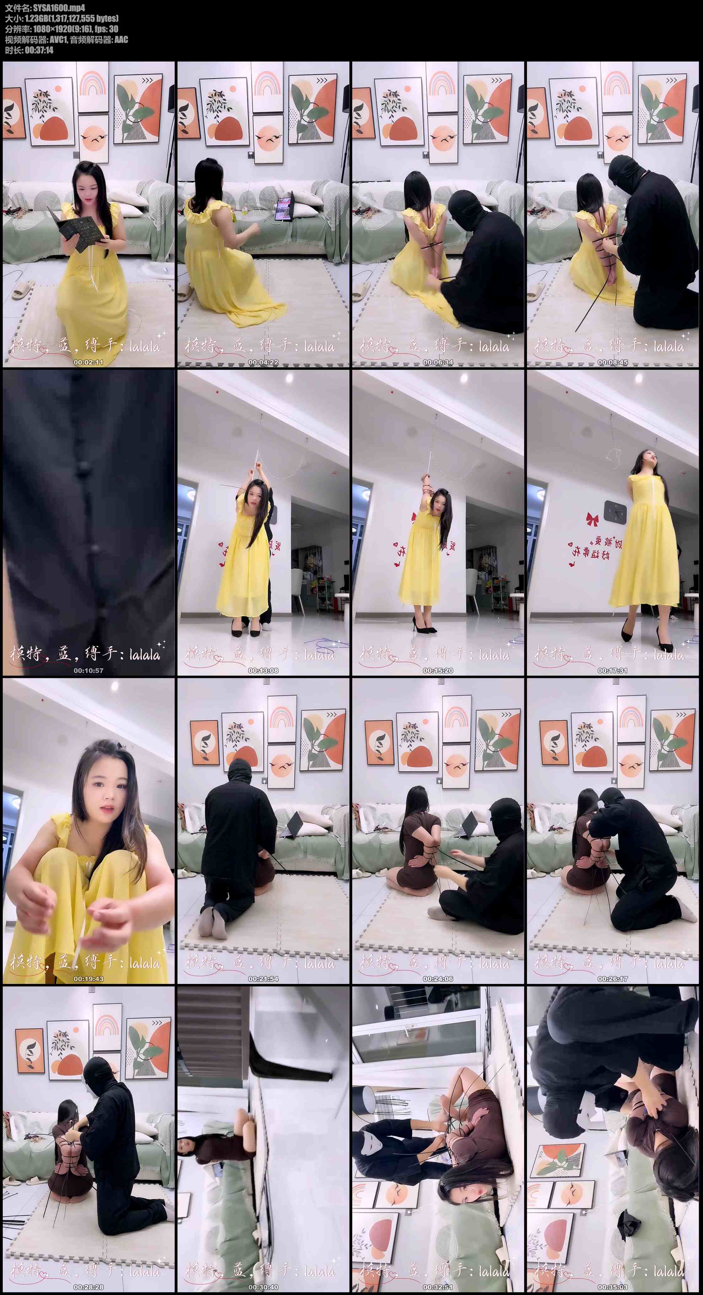 蓝-lann 直播回放系列，第五期-点播专场（上），扎带直臂并肘反手吊，扎带鸡翅驷马
