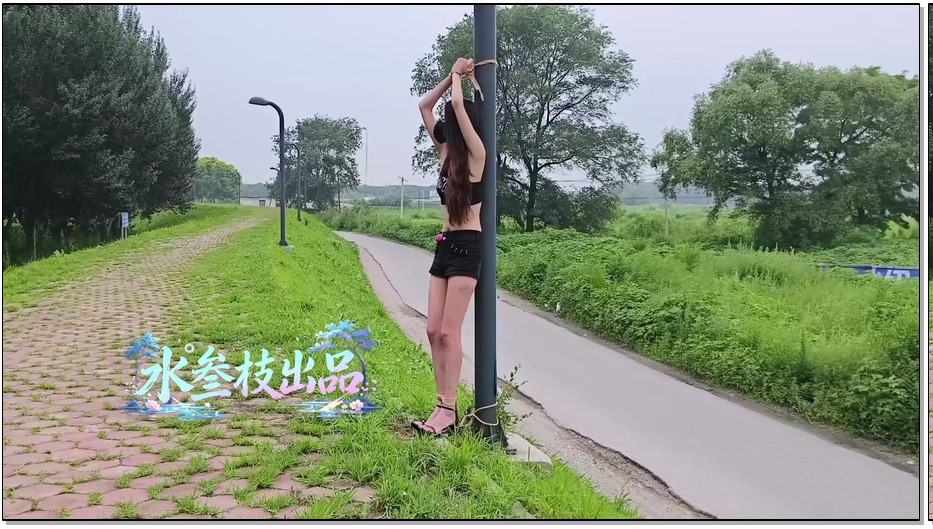 SYSA183-水叁枝 马路边极致羞耻户外捆绑固定完全社死