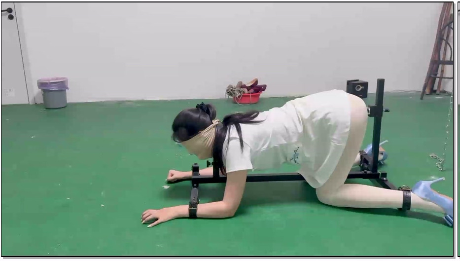 SYSA1860-媚娘工作室 k9架折磨被逼飙脏话