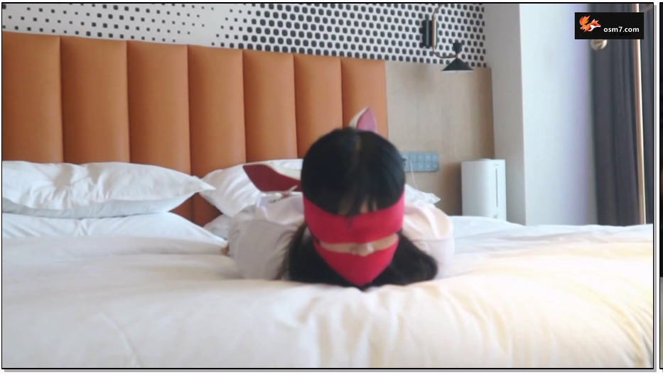 XY1512-逍遥 冒牌家政 上集