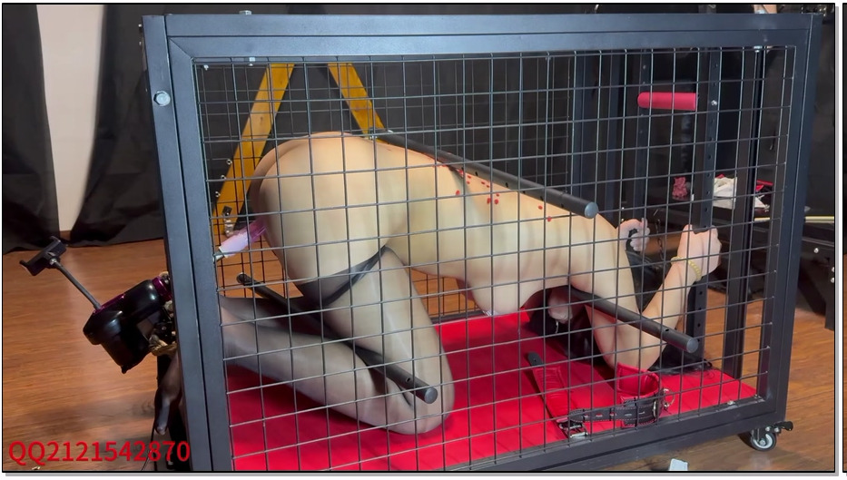 YGRJ017-悦感日记 小美狗笼囚禁强制炮J滴蜡多时间囚禁全程惨叫直接虚脱