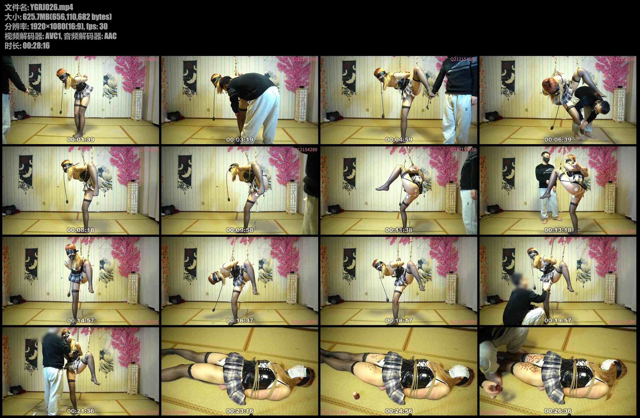 悦感日记 新模欣欣 无内吊带黑丝啵啵贝郊狼开160SPTK吊缚挣扎滴蜡窒xi超多元素