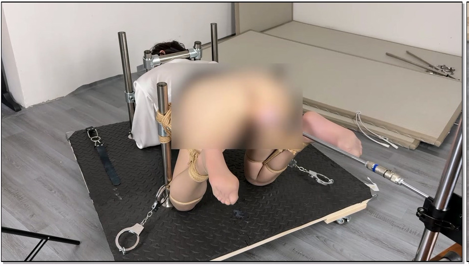 YMCP067-眼眸出品 金属K9固定+PJ电击ZDB